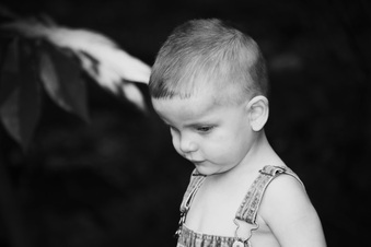 Enlarge photo 188