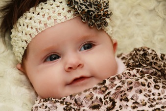 Enlarge photo 49
