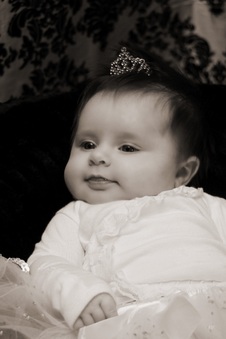 Enlarge photo 121