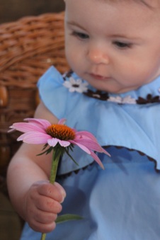 Enlarge photo 28