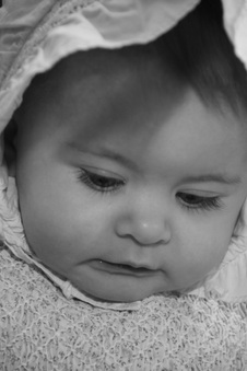 Enlarge photo 93