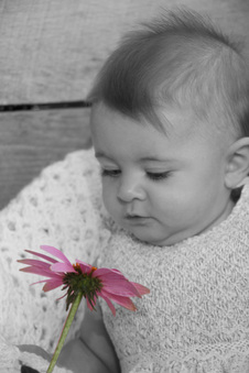 Enlarge photo 107