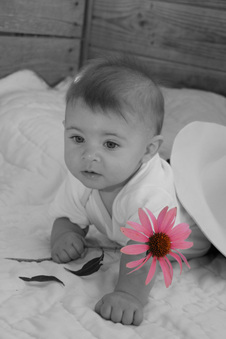 Enlarge photo 161