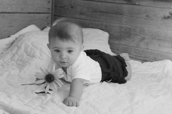 Enlarge photo 163