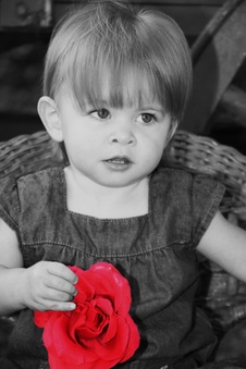 Enlarge photo 63