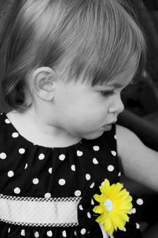 Enlarge photo 91