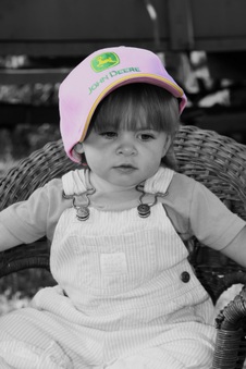 Enlarge photo 158