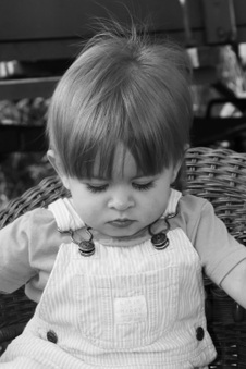 Enlarge photo 163