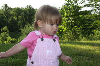 Enlarge photo 175