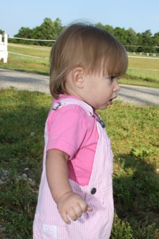 Enlarge photo 179