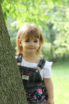 Enlarge photo 27