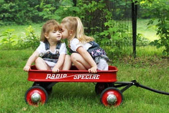 Enlarge photo 62