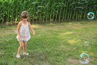 Enlarge photo 241