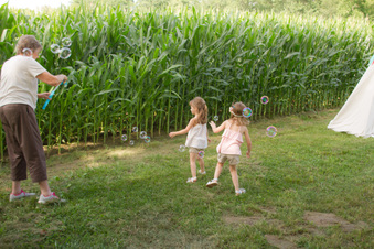 Enlarge photo 263