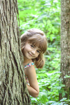 Enlarge photo 165