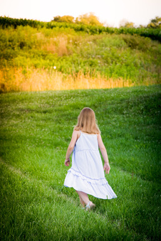 Enlarge photo 253