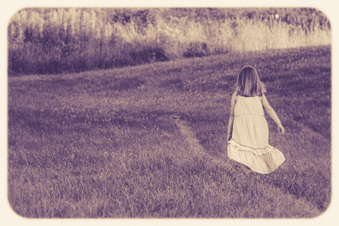 Enlarge photo 256