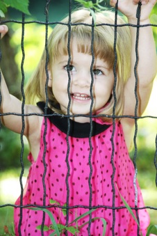 Enlarge photo 50