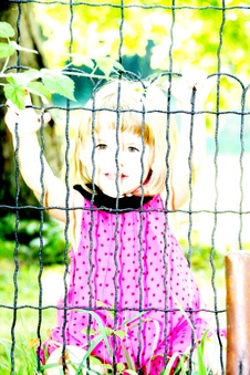 Enlarge photo 51
