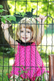 Enlarge photo 52