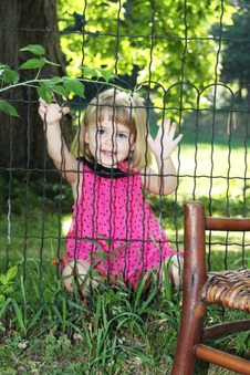 Enlarge photo 54