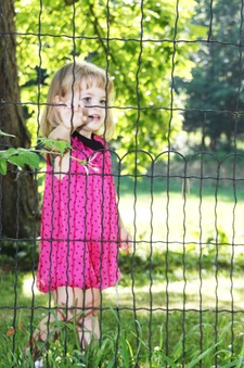 Enlarge photo 55