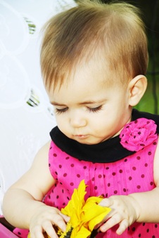 Enlarge photo 84