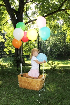 Enlarge photo 114