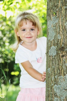 Enlarge photo 149