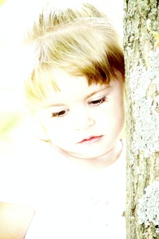Enlarge photo 152