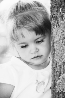 Enlarge photo 153