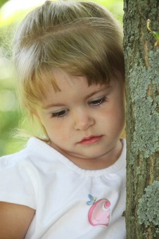 Enlarge photo 154