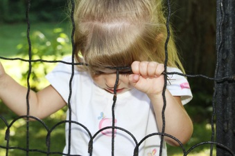 Enlarge photo 203