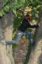 Enlarge photo 43
