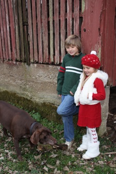 Enlarge photo 56