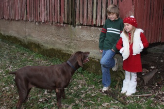 Enlarge photo 49