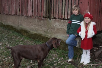 Enlarge photo 48