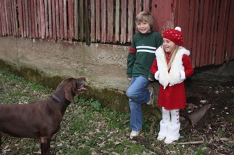 Enlarge photo 44