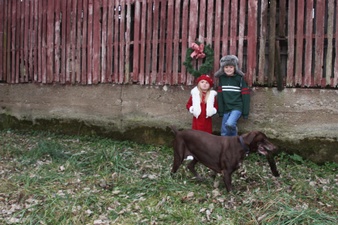Enlarge photo 36
