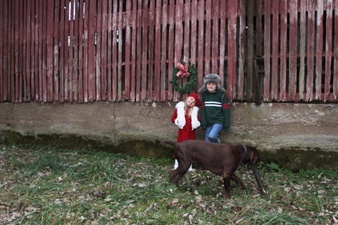 Enlarge photo 35
