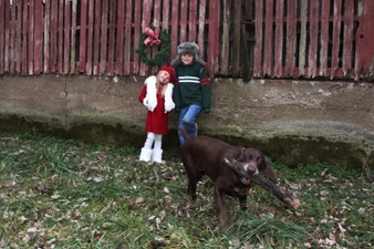 Enlarge photo 34