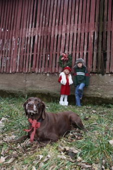 Enlarge photo 29