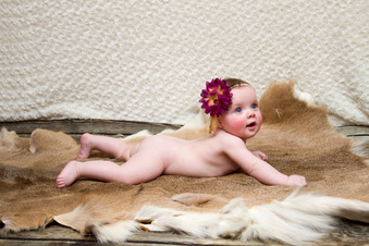 Enlarge photo 120