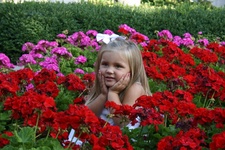 Enlarge photo 59