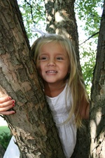 Enlarge photo 87