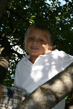 Enlarge photo 88