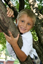 Enlarge photo 90