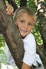 Enlarge photo 92