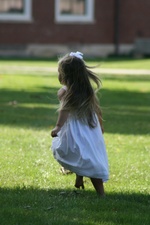 Enlarge photo 75