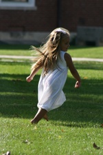 Enlarge photo 78